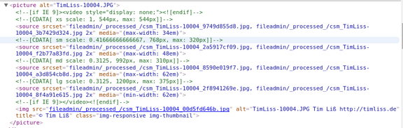 HTML Quellcode des picture Tags responsiveimagescode.png